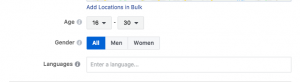 Demographics setting in Facebook Ad setup