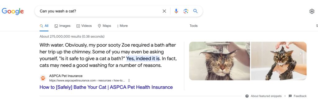 A picture of a featured snippet