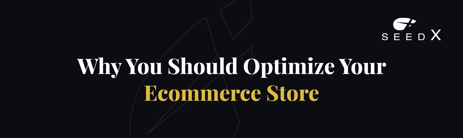 Why You Should Optimize Your Ecommerce Store