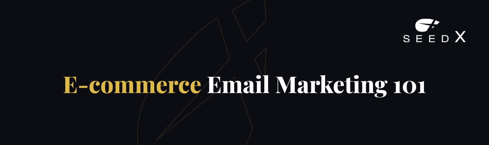Ecommerce email marketing title